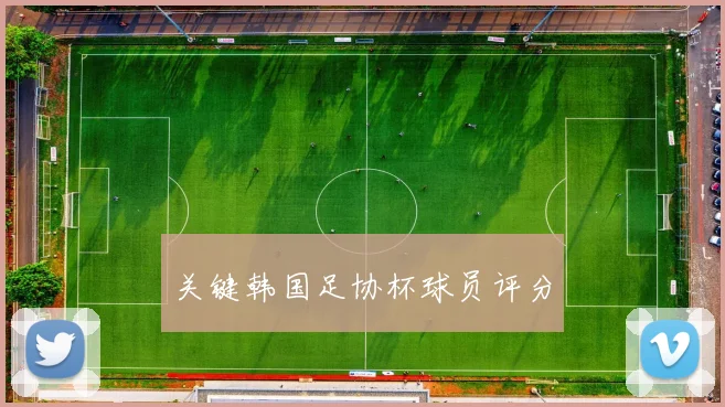 关键韩国足协杯球员评分