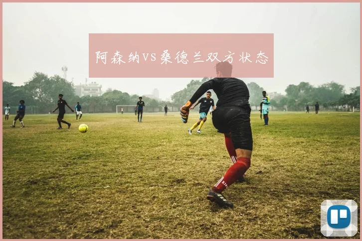 阿森纳vs桑德兰双方状态