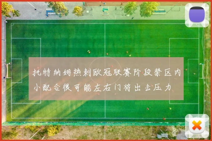 托特纳姆热刺欧冠联赛阶段禁区内小配合很可能左右门将出击压力