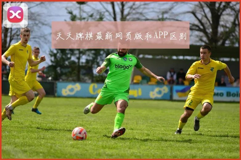 天天牌棋最新网页版和APP区别