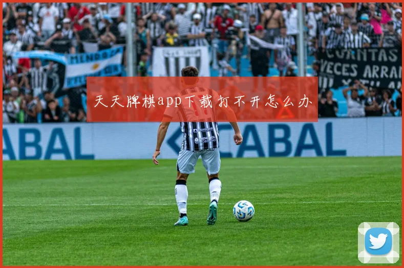 天天牌棋app下载打不开怎么办