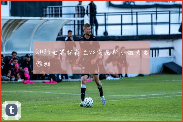2026世界杯荷兰vs突尼斯小组头名预测